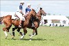 UKPA NC SAT_2643